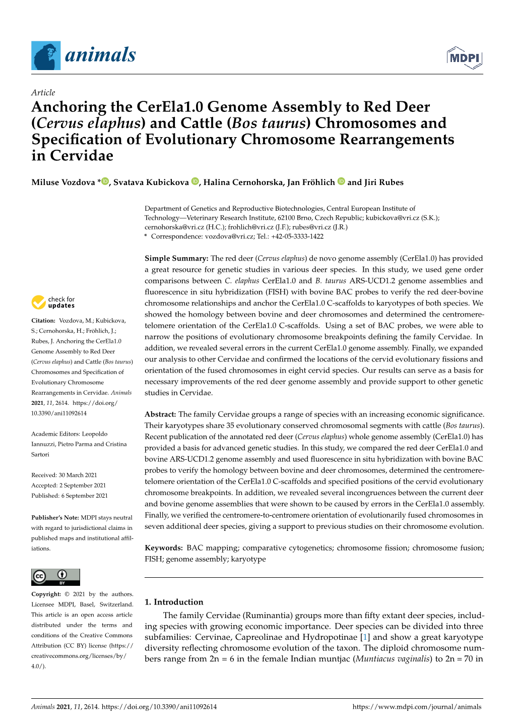 Anchoring the Cerela1.0 Genome Assembly to Red Deer