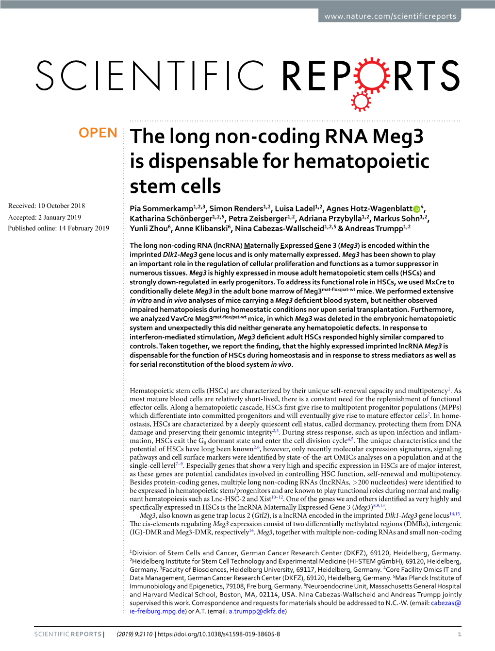 The Long Non-Coding RNA Meg3 Is Dispensable for Hematopoietic Stem Cells