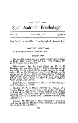 South Australian Ornithologist