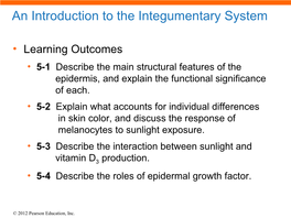 An Introduction to the Integumentary System