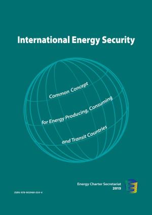 International Energy Security
