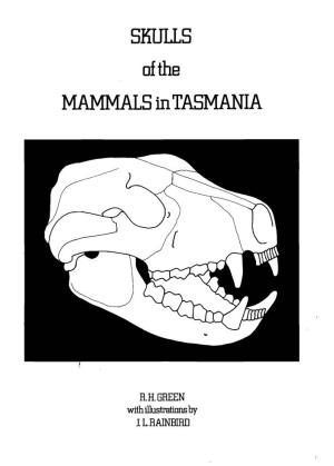 Skulls of Tasmania