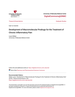 Development of Macromolecular Prodrugs for the Treatment of Chronic Inflammatory Pain