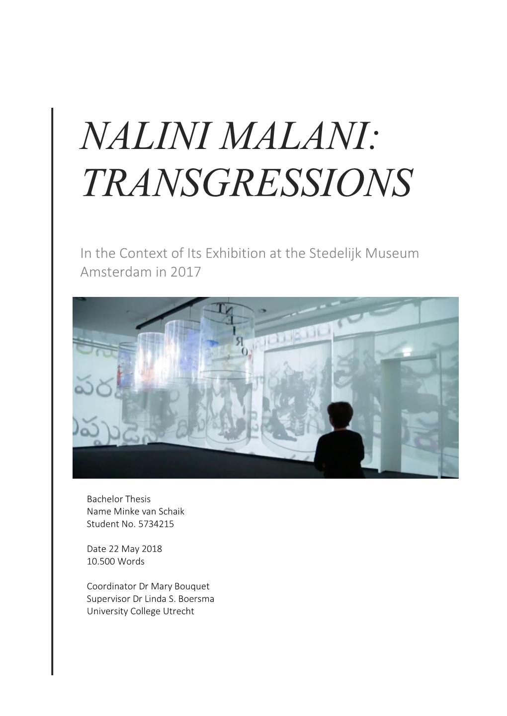 Nalini Malani: Transgressions