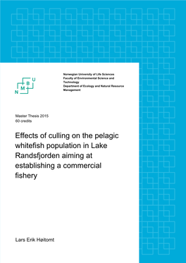 Effects of Culling on the Pelagic Whitefish Population in Lake Randsfjorden Aiming at Establishing a Commercial Fishery