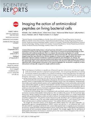 Imaging the Action of Antimicrobial Peptides on Living Bacterial Cells SUBJECT AREAS: Michelle L
