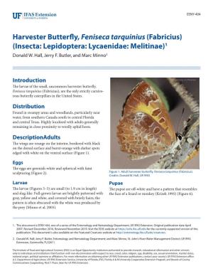 Harvester Butterfly, Feniseca Tarquinius (Fabricius), Are the Only Strictly Carnivo- Rous Butterfly Caterpillars in the United States