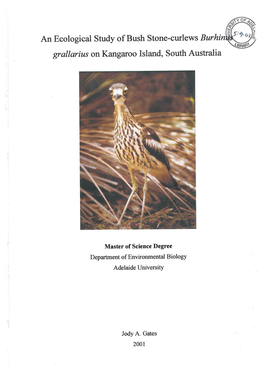 An Ecological Study of Bush Stone-Curlews Burhinus Grallarius