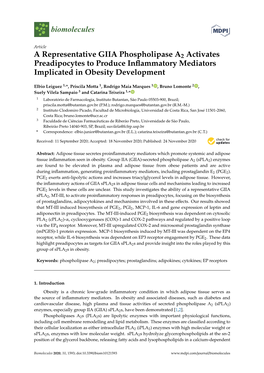 A Representative GIIA Phospholipase A2 Activates Preadipocytes to Produce Inﬂammatory Mediators Implicated in Obesity Development