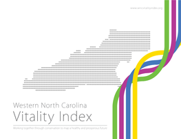 WNC Vitality Index (On-Screen Version)