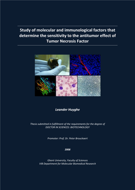 Study of Molecular and Immunological Factors That Determine the Sensitivity to the Antitumor Effect of Tumor Necrosis Factor