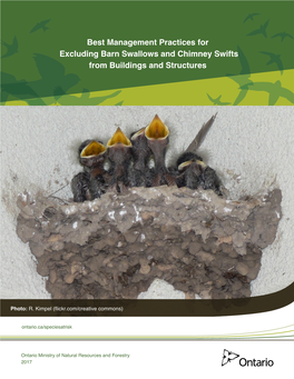 Best Management Practices for Excluding Barn Swallows and Chimney Swifts from Buildings and Structures