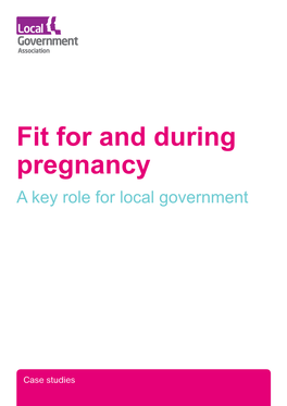 Fit for and During Pregnancy: a Key Role for Local Government