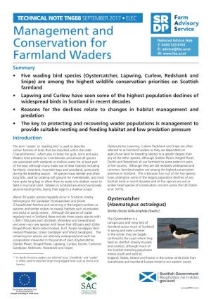 Management and Conservation for Farmland Waders