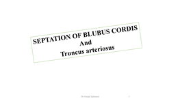 Of the Bulbus Cordis