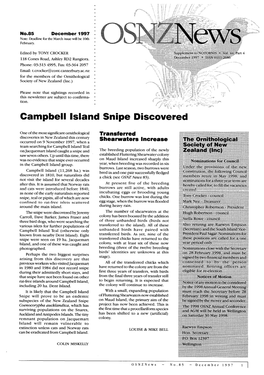 Campbell Island Snipe Discovered