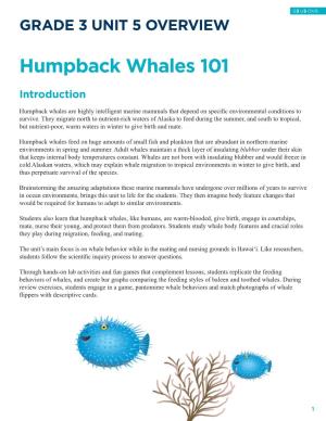 Humpback Whales 101