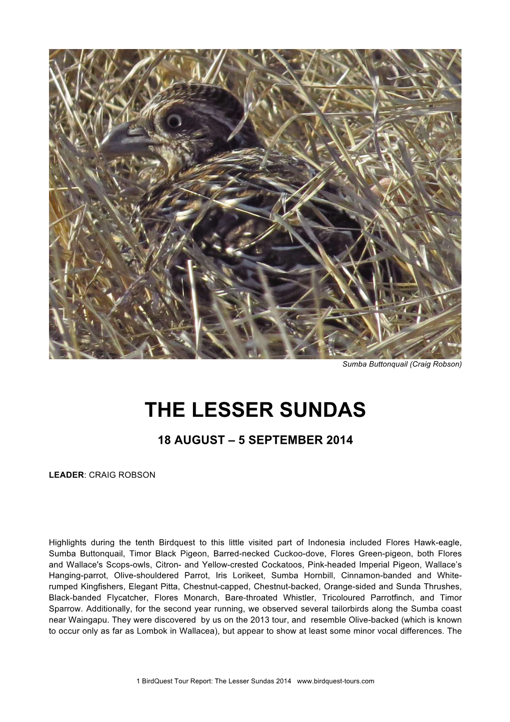 The Lesser Sundas