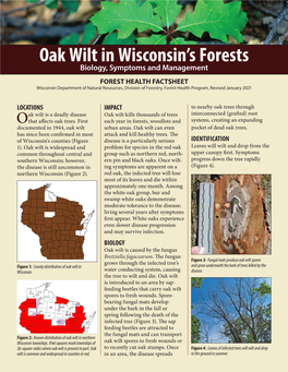 Oak Wilt in Wisconsin's Forests