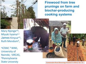 Firewood from Tree Prunings on Farm and Biochar-Producing Cooking Systems
