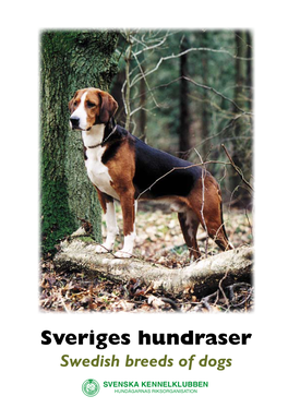 Sveriges Hundraser Swedish Breeds of Dogs Sveriges Sweden’S Inhemska Breeds Hundraser of Dogs