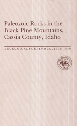Paleozoic Rocks in the Black Pine Mountains, Cassia County, Idaho