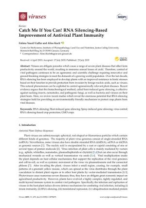 RNA Silencing-Based Improvement of Antiviral Plant Immunity