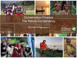 Conservation Finance the Nature Conservancy
