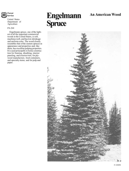 Engelmann Spruce, One of the Light- Est of All the Important Commercial Woods in the United States, Is Soft, Machines Well, and Has Low Shrinkage and Uniform Color