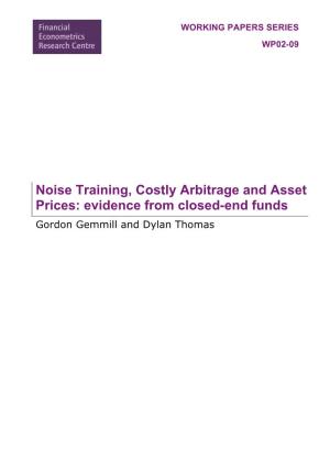 Noise Training, Costly Arbitrage and Asset Prices