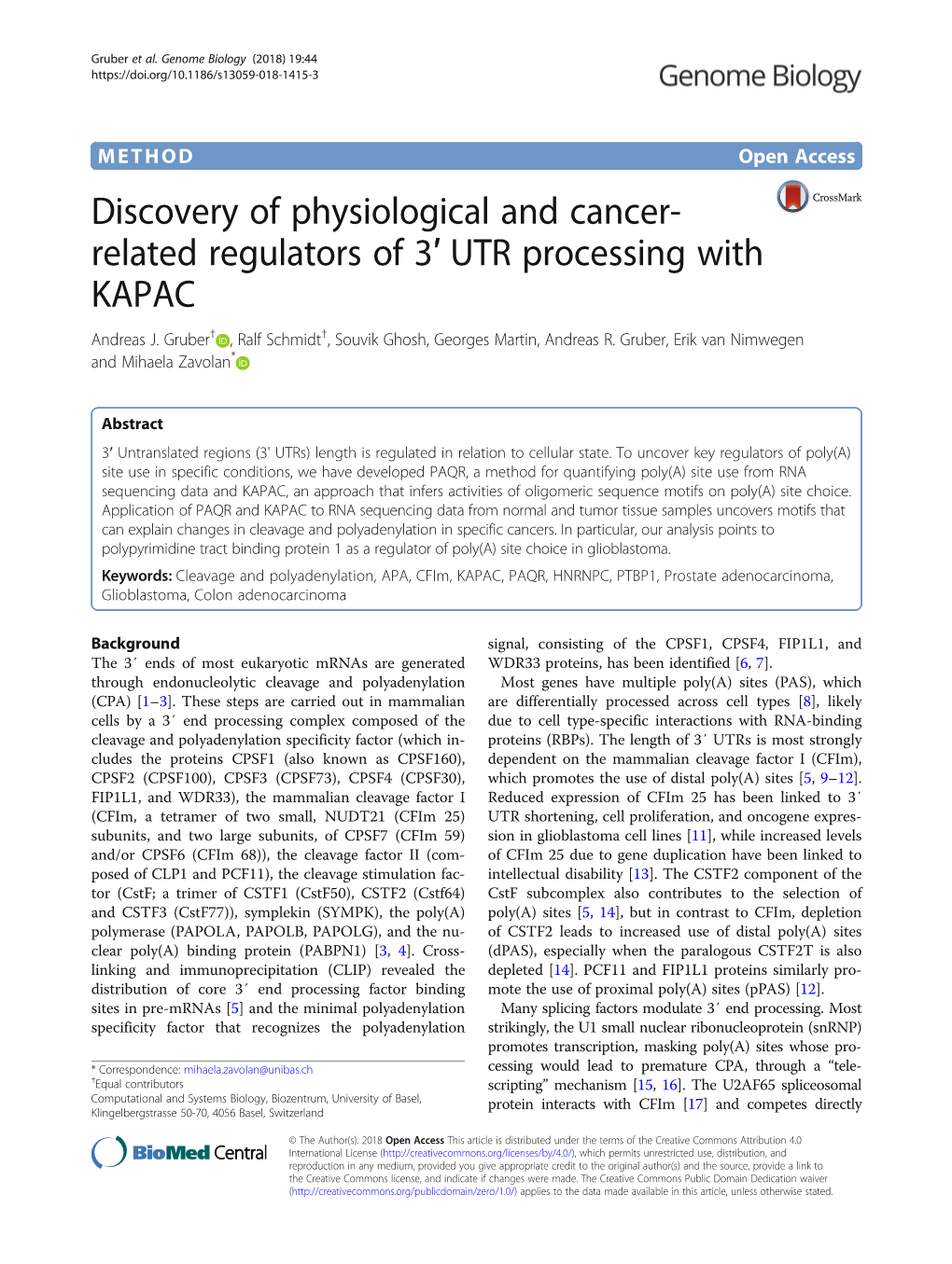 Related Regulators of 3′ UTR Processing with KAPAC Andreas J