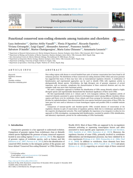 Functional Conserved Non-Coding Elements Among Tunicates and Chordates