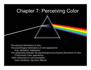 Chapter 7: Perceiving Color