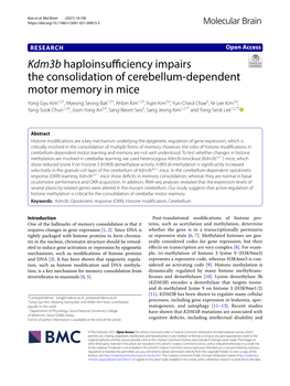 Kdm3b Haploinsufficiency Impairs the Consolidation of Cerebellum