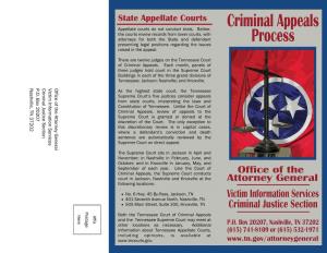 Criminal Appeals Process