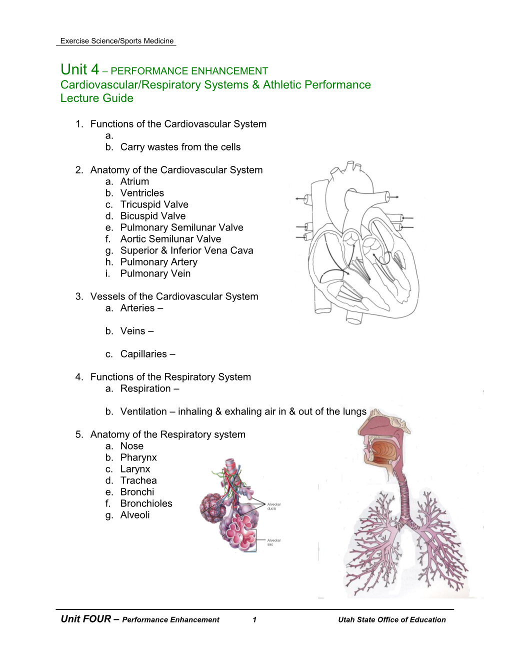 Exercise Science/Sports Medicine