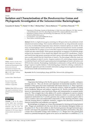 Isolation and Characterisation of the Bundooravirus Genus and Phylogenetic Investigation of the Salasmaviridae Bacteriophages