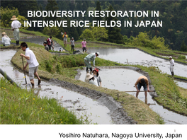 Provision of Ecosystem Services by Paddy Fields As Surrogates Of