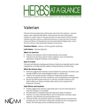 Herbs a T a Glance: Valerian