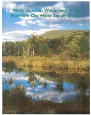 Wetlands in the Watersheds of the New York City Water Supply System Wetland Types
