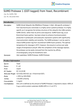 SUMO Protease 1 (GST-Tagged) from Yeast, Recombinant Cat