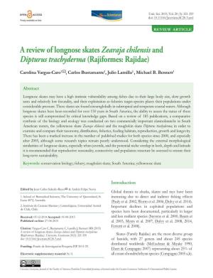 A Review of Longnose Skates Zearaja Chilensisand Dipturus Trachyderma (Rajiformes: Rajidae)