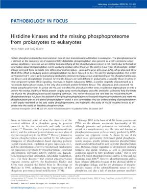 Histidine Kinases and the Missing Phosphoproteome from Prokaryotes to Eukaryotes Kevin Adam and Tony Hunter