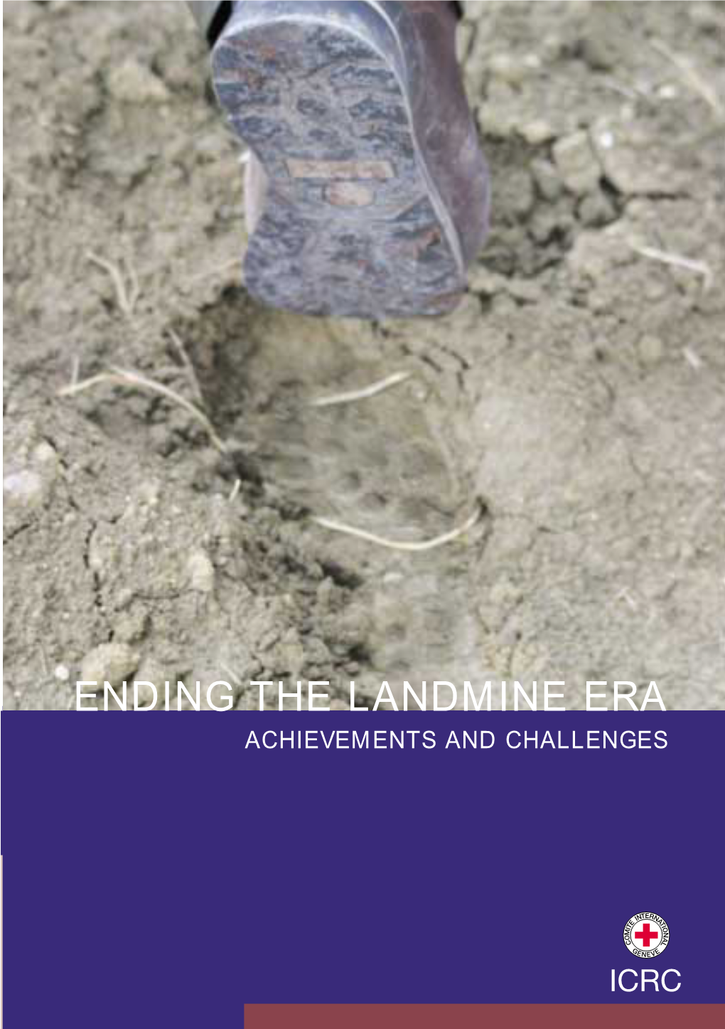 ENDING the LANDMINE ERA ACHIEVEMENTS and CHALLENGES Landmines DEF GB 2.5 20.8.2004 11:09 Page 4