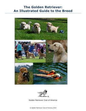 The Golden Retriever: an Illustrated Guide to the Breed