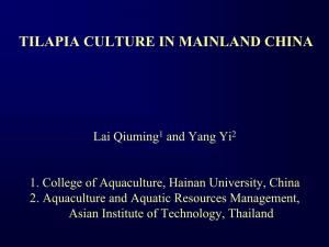 Tilapia Culture in Mainland China