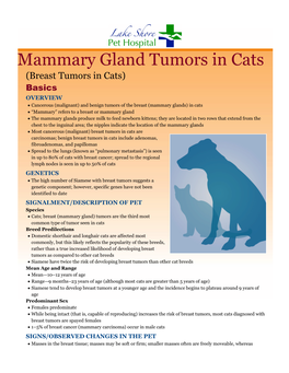 Mammary Gland Tumors in Cats