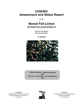 Boreal Felt Lichen (Erioderma Pedicellatum) Is a Globally Threatened, Conspicuous Foliose Cyanolichen Belonging to the Pannariaceae