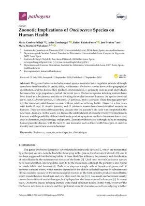 Zoonotic Implications of Onchocerca Species on Human Health