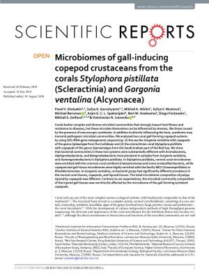 Microbiomes of Gall-Inducing Copepod Crustaceans from the Corals Stylophora Pistillata (Scleractinia) and Gorgonia Ventalina